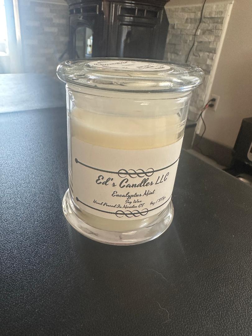 Eucalyptus Mint 9oz soy wax